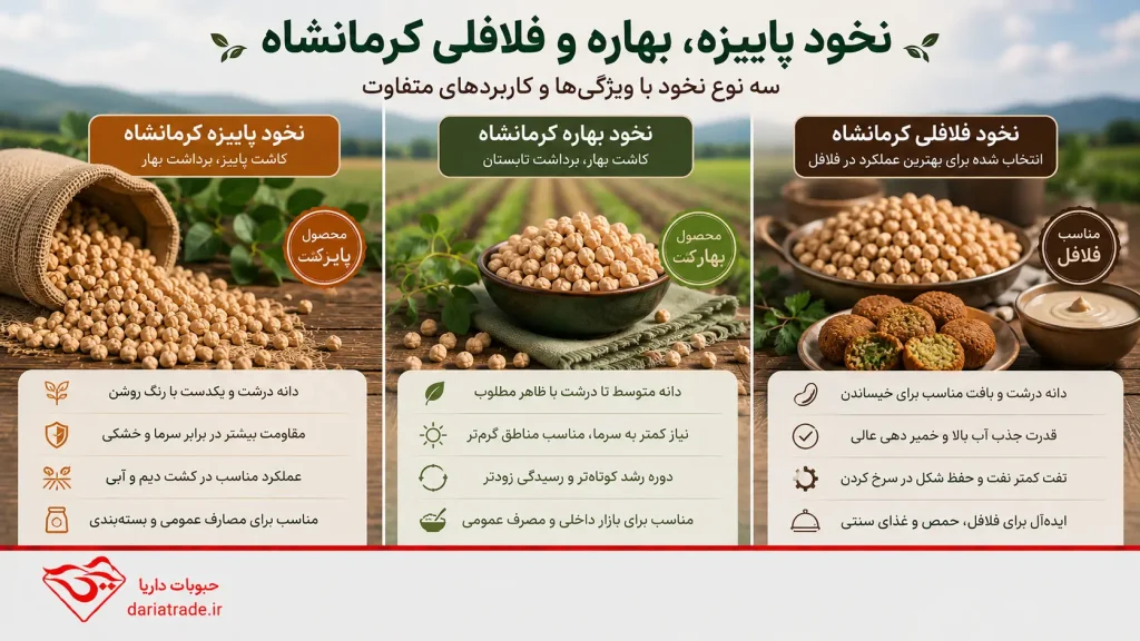 نخود پاییزه، بهاره و فلافلی عمده