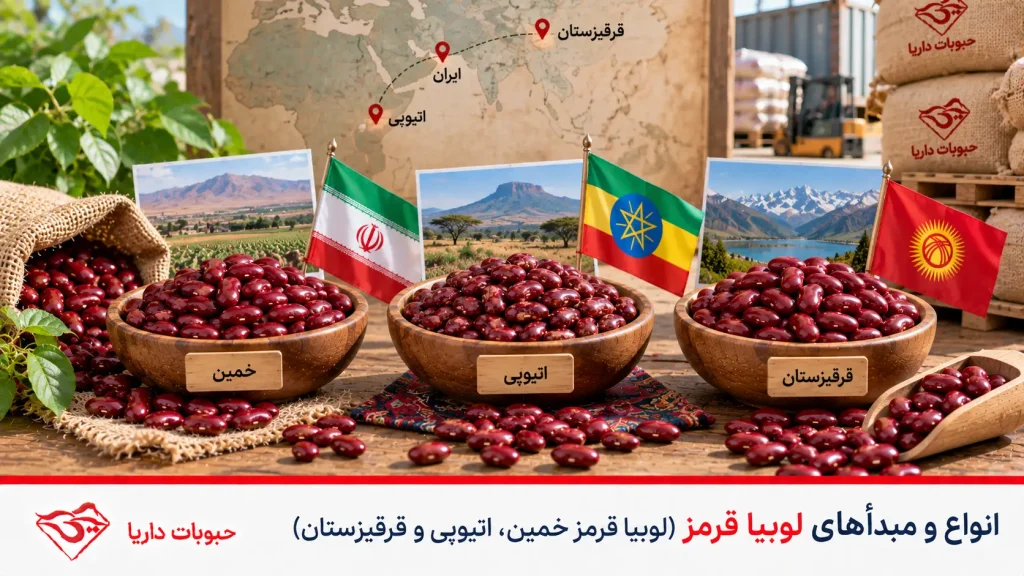 انواع لوبیا قرمز در بازار ایران