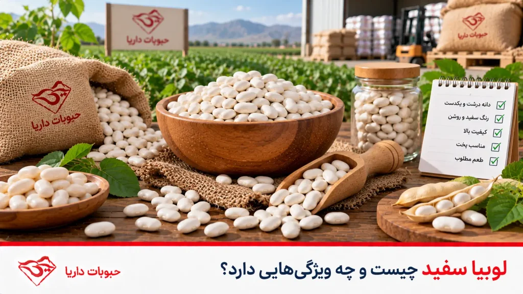 ویژگی های لوبیا سفید