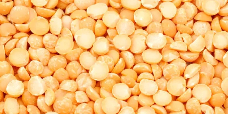 کارخانه لپه آذرشهر