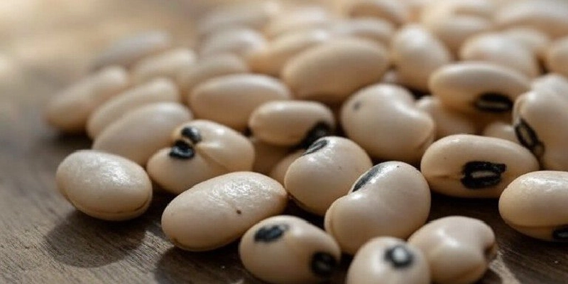 لوبیا چشم بلبلی