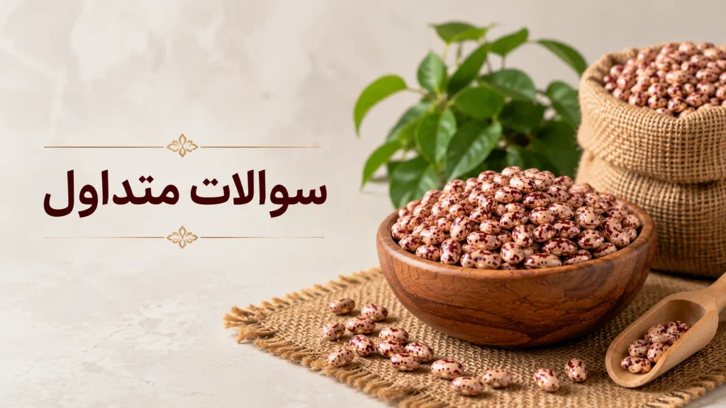 خرید عمده لوبیا چیتی به قیمت روز و پاسخ به سوالات