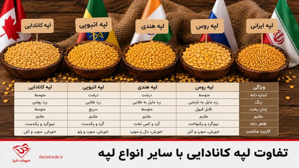تفاوت لپه کانادایی با سایر انواع لپه