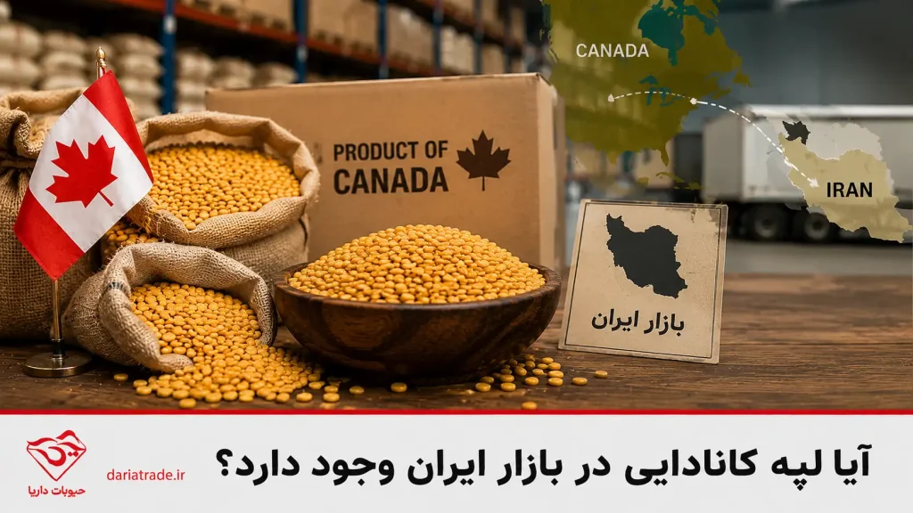 آیا لپه کانادایی در بازار ایران موجود است؟