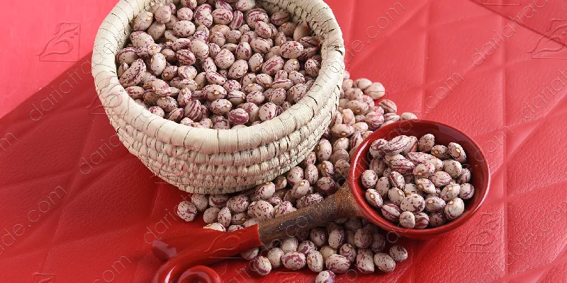 لوبیا چیتی خمین