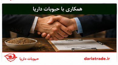قیمت عدس ریز قزاق