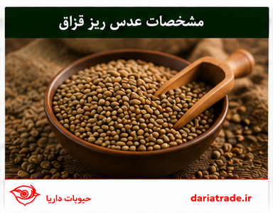 مشخصات عدس ریز قزاق