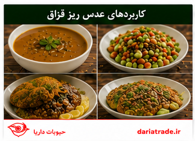 کاربرد و قیمت عدس ریز قزاق