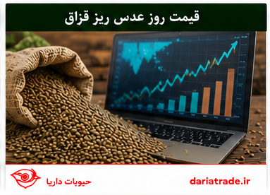 قیمت روز عدس ریز قزاق
