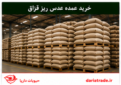 خرید و قیمت عدس ریز قزاق