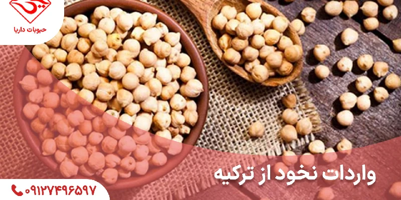 نخود ترک 