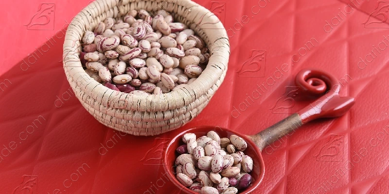 لوبیا چیتی اقلید
