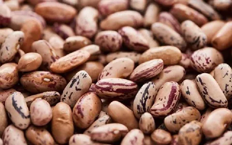 حبوبات قزوین