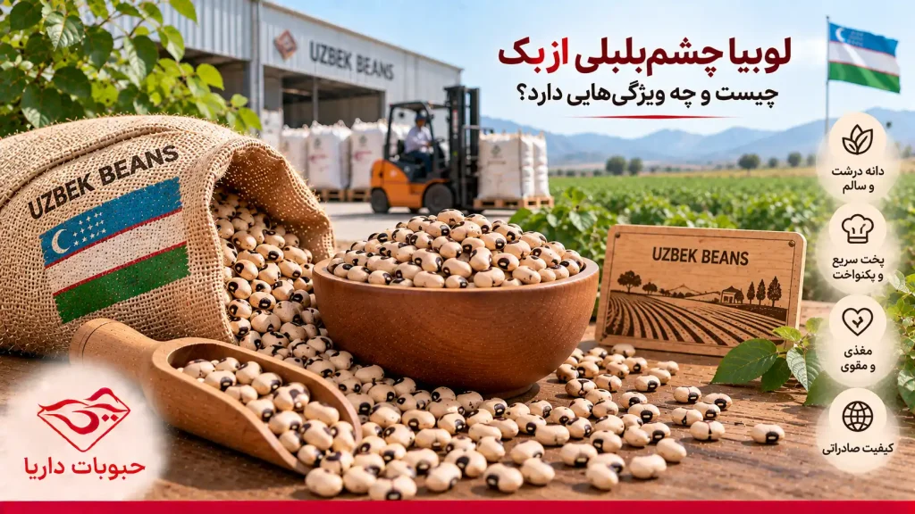 لوبیا چشم‌بلبلی ازبک چیست