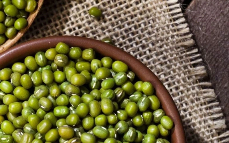ماش گتوند