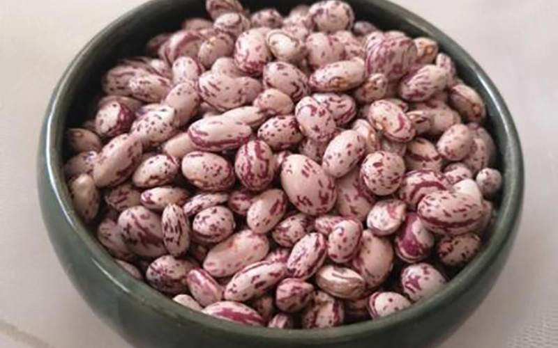 بهترین لوبیا چیتی ایران