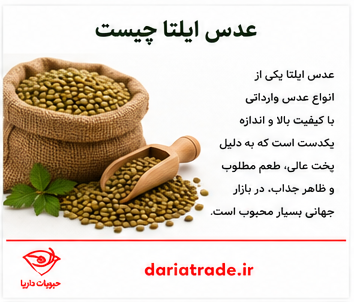 قیمت عمده ای عدس ایلتا