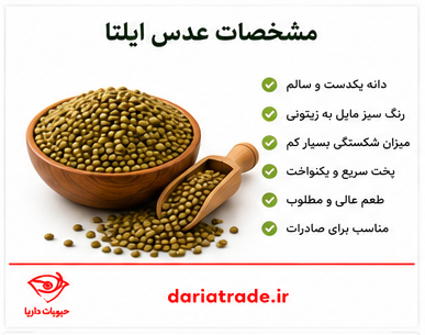مشخصات و قیمت عدس ایلتا