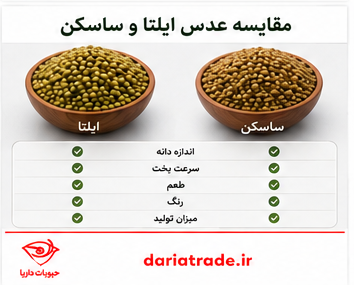 مقایسه عدس درشت و ریز ایلتا