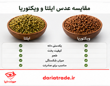 مقایسه عدس ایلتا و ویکتوریا