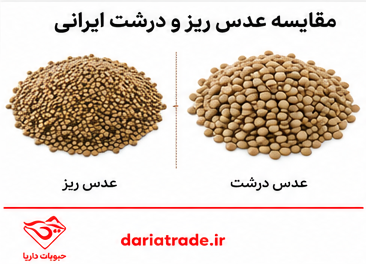 قیمت عدس ریز و درشت ایرانی 