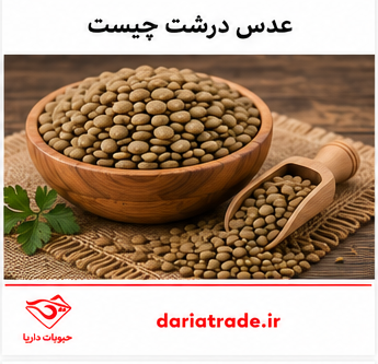 قیمت عدس درشت