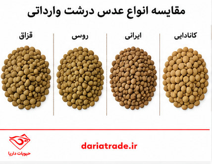مقایسه قیمت انواع عدس درشت و ریز