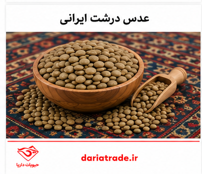 قیمت عدس درشت ایرانی 