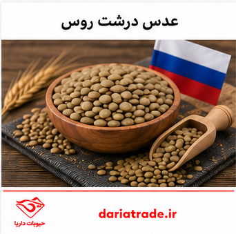 قیمت عدس درشت روس