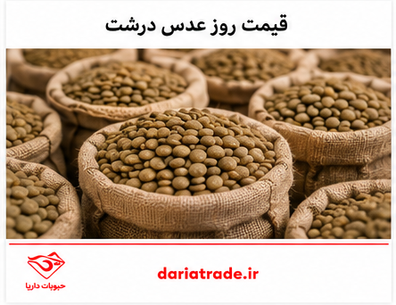 قیمت خرید عدس درشت 