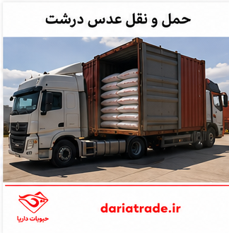 خرید و قیمت عمده عدس درشت