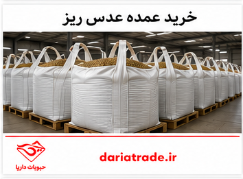 خرید و قیمت عدس ریز عمده
