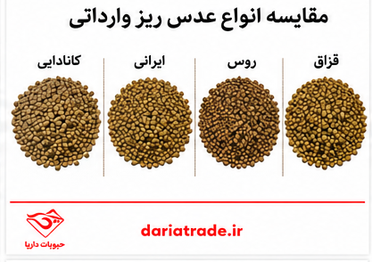 مقایسه قیمت انواع عدس ریز