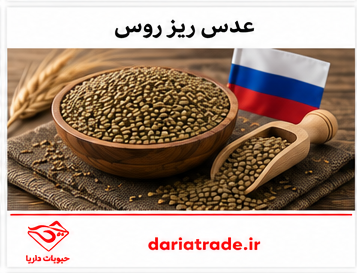 قیمت خرید عدس ریز روس