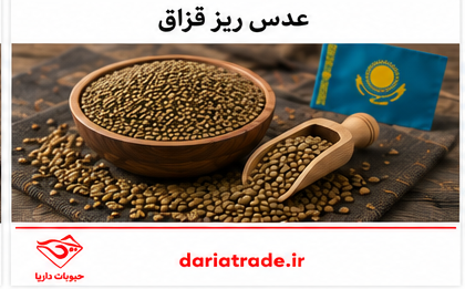 قیمت خرید عمده عدس ریز قزاق