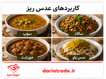 کاربرد انواع عدس ریز