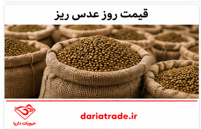 قیمت عدس ریز فله ای به روز