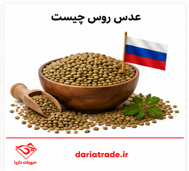 قیمت عدس روس