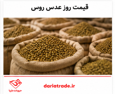 قیمت عدس روس به روز