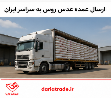 قیمت عدس روس