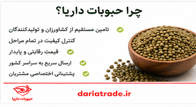 قیمت خرید عدس ساسکن