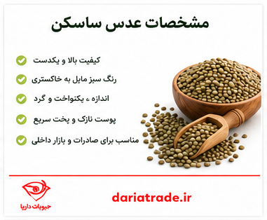 ویژگی های عدس کانادایی ساسکن