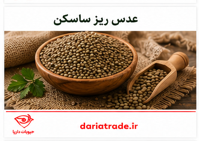 قیمت عدس ساسکن ریز