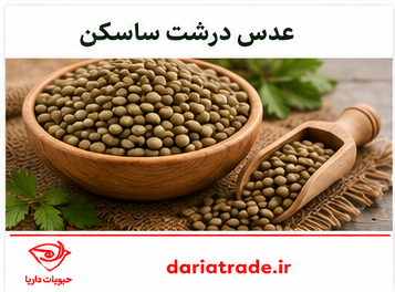 قیمت عدس درشت ساسکن