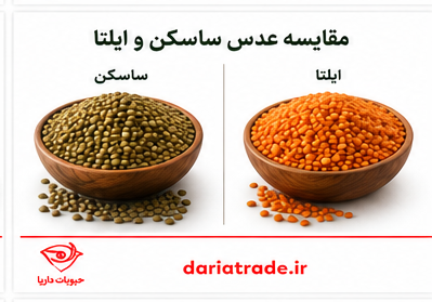 مقایسه عدس ایلتا و ساسکن
