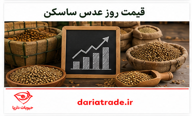 قیمت عدس ساسکن 