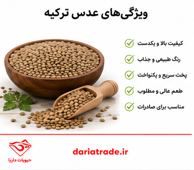 قیمت عدس ترکیه عمده