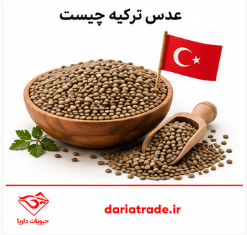 قیمت عدس ترکیه چیست