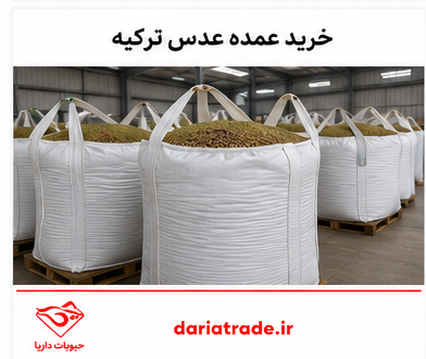 قیمت و خرید عدس ترکیه