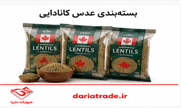 قیمت عدس کانادایی